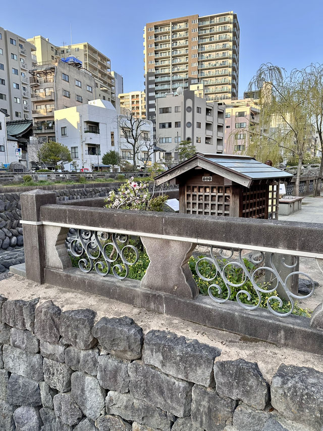 👓Megane Bridge: A Scene of Reflected Serenity 