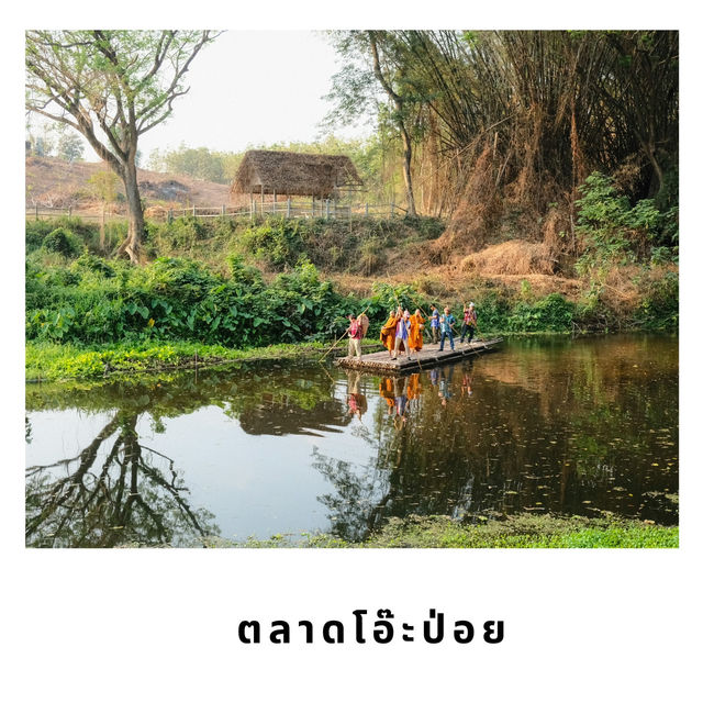 🌿 ตลาดโอ๊ะป่อย – เสน่ห์ตลาดเช้าแห่งสวนผึ้ง 🌿 ตลาดโอ๊ะป่อย – เสน่ห์ตลาดเช้าแห่งสวนผึ้ง