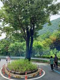 연인과의 조용한 산책 데이트