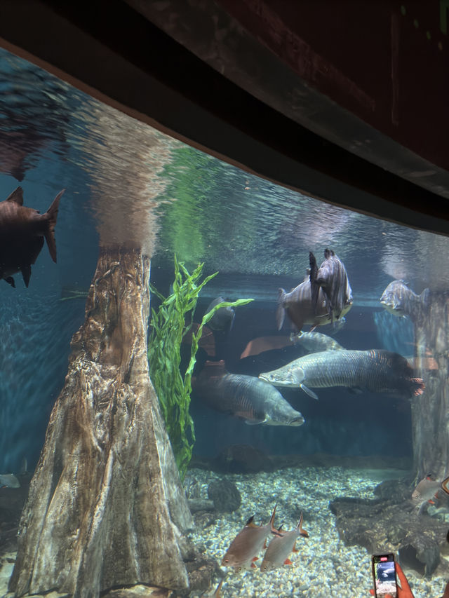 River to Reef Wonders at Aquaria KLCC