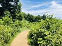 A Peaceful Hike to Panoramic Island Vistas