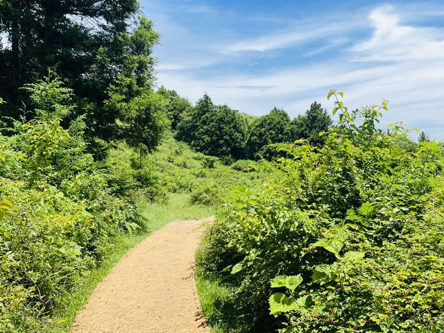 A Peaceful Hike to Panoramic Island Vistas