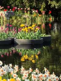 Tulip Wonderland in Hangzhou: A Springtime Escape to Zijingang Park