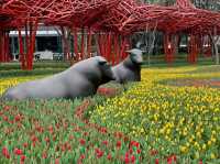 Tulip Trails & Artistic Tales : JingAn Sculpture park