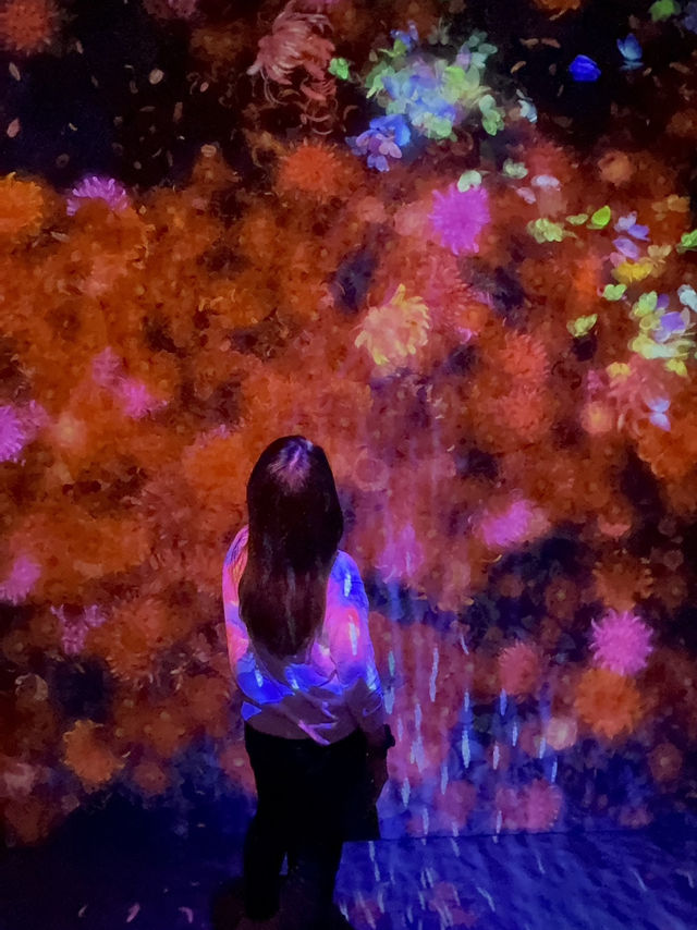 Enchanting World of Digital Art— TeamLab Borderless Tokyo 