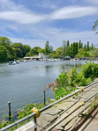Inokashira Park in Tokyo looked even more beautiful in summer.
