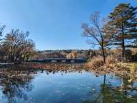 Chengde Mountain Resort: A Misty Painting Come to Life