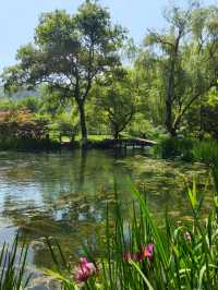 東灘濕地公園—綠化生境