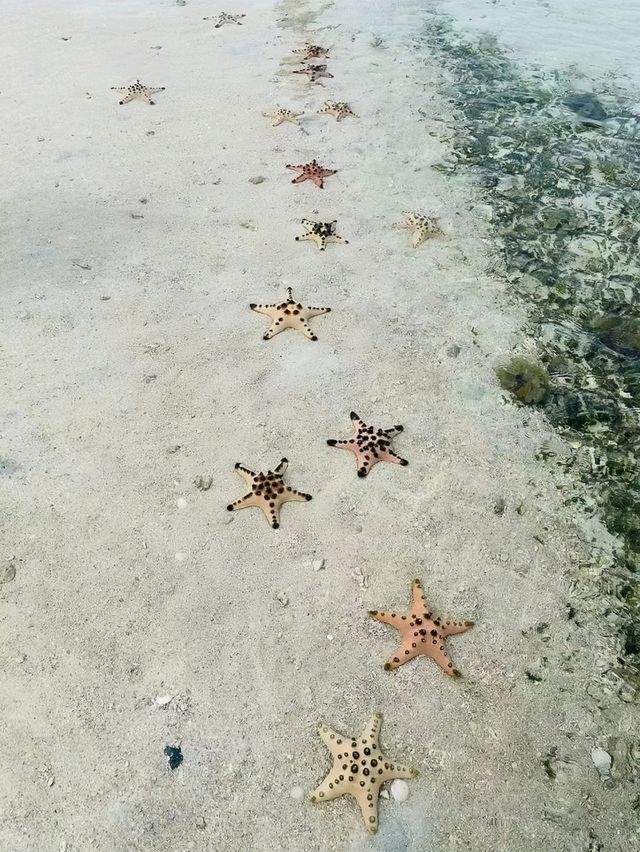 🇲🇾【仙本那4天3夜海岛度假｜跳岛+水屋+海鲜盛宴】🌊🐠🛶