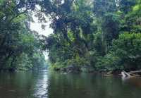 Taman Negara – Hanging Out with a 130-Million-Year-Old Legend