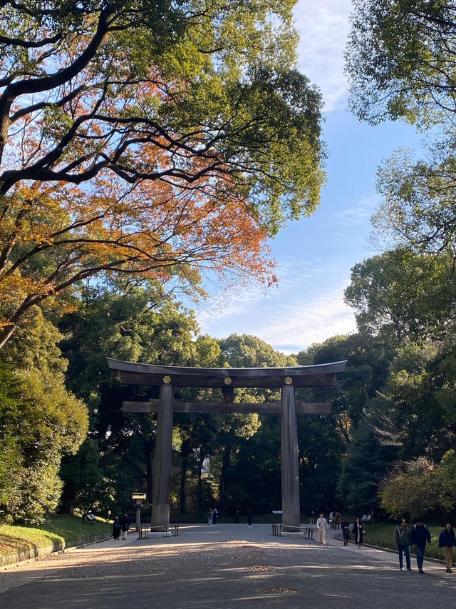 【明治神宮｜都市中的靜謐靈域】