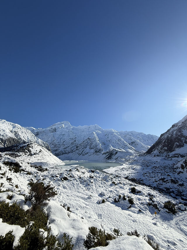 ニュージーランド🇳🇿 マウントクック　キアポイント🗻