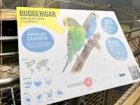 Urban Jungle: Exploring the Philippine Biodome