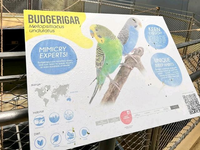 Urban Jungle: Exploring the Philippine Biodome