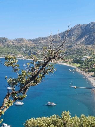 마르마리스 투룬치