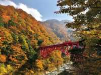 立山黑部🇯🇵 秋季必去絕景 🍁