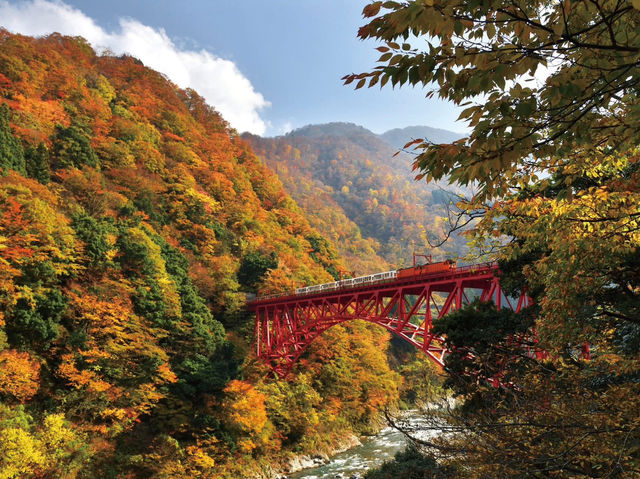 立山黑部🇯🇵 秋季必去絕景 🍁 立山黑部🇯🇵 秋季必去絕景 🍁