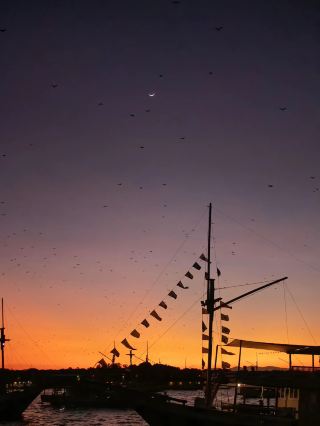 [Komodo｜Indonesian monitor lizards and the coast write a long letter to the wild]