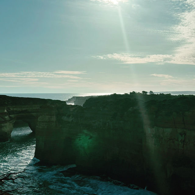 お一人向けグレートオーシャンロード（Great Ocean Road）の日帰りツアー比較