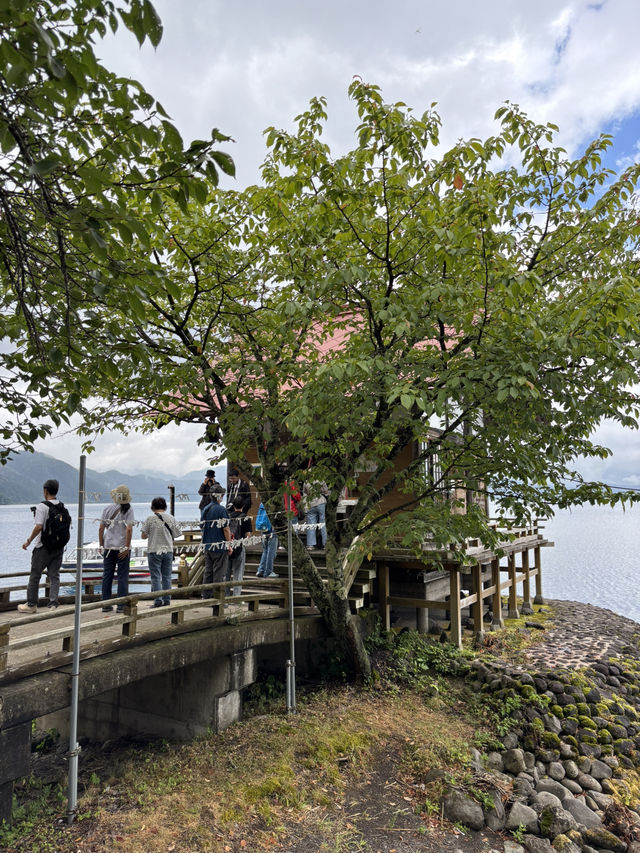 田沢湖潟尻 傳說美少女「たつこ像」與浮木神社的湖畔浪漫⛩️🌊