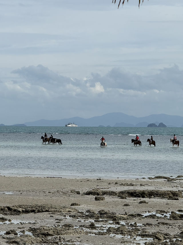 Beaches, Bites & Brews: 4 Days in Koh Samui
