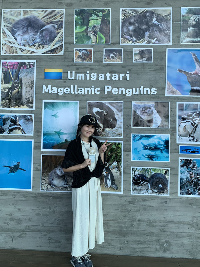 長岡花火の翌日に寄り道！癒しのうみがたり水族館❤️