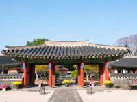 🏯 관덕정 – 제주의 역사를 간직한 정자