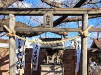 KISHI STATION จุดหมายหลักในการมา WAKAYAMA