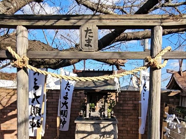 KISHI STATION จุดหมายหลักในการมา WAKAYAMA KISHI STATION จุดหมายหลักในการมา WAKAYAMA
