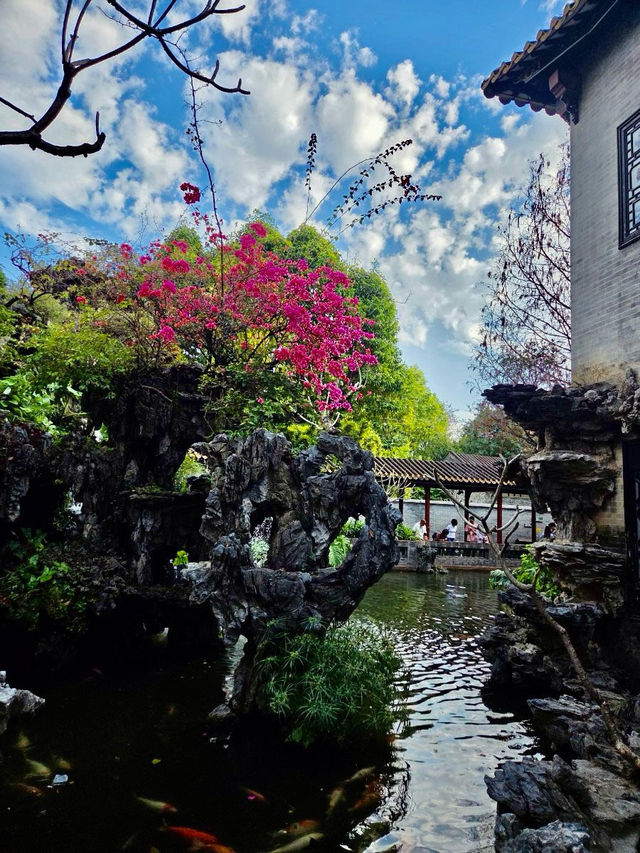 🌸칭후이 가든🌸 🌸칭후이 가든🌸
