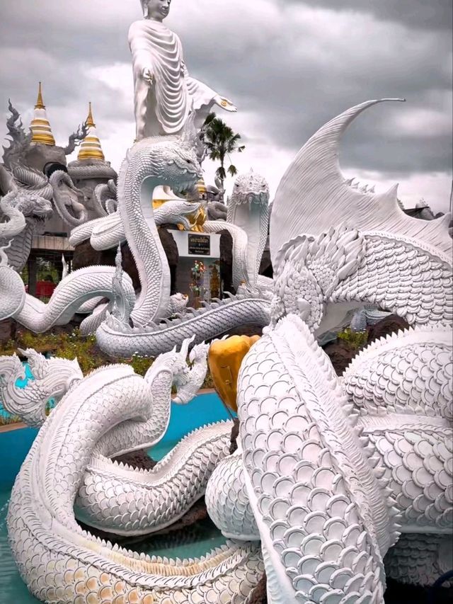 วัดดอนใหญ่ Babyพญานาค
