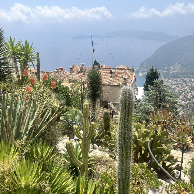 🇫🇷法國埃茲-Jardin Exotique d’Eze 🌵