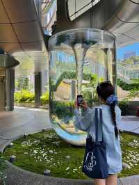 Hong Kong -  unforgettable experience 