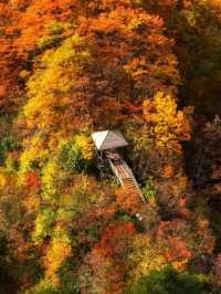 🍂 Guangwu Mountain – The Autumn Paradise of Sichuan 🍂