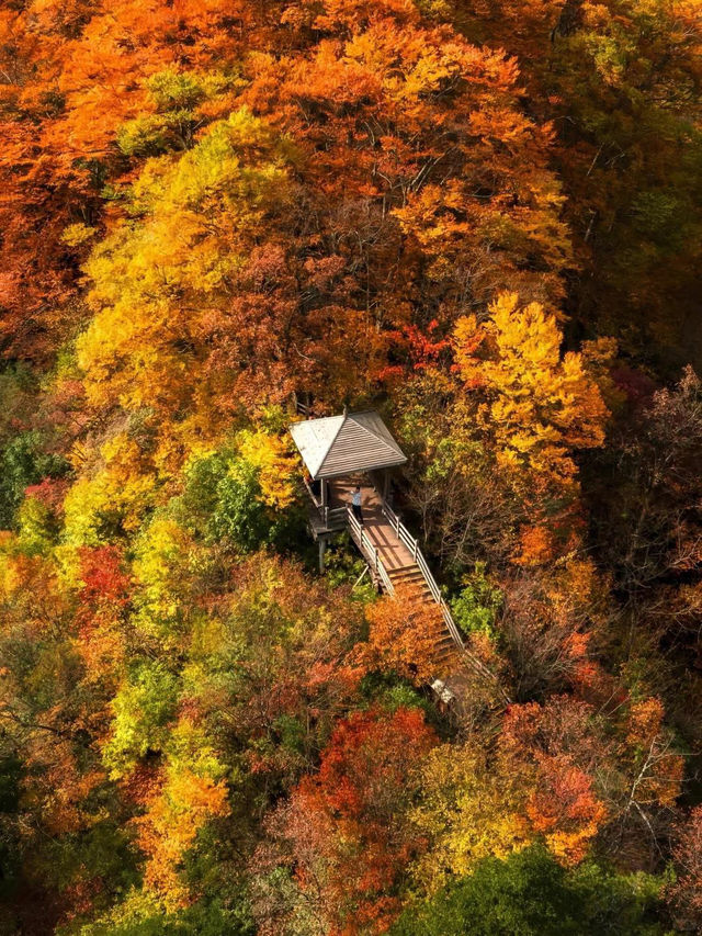 🍂 Guangwu Mountain – The Autumn Paradise of Sichuan 🍂
