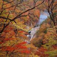 🌊 Fukiware Falls – One of Japan’s Top 100 Waterfalls 🌊