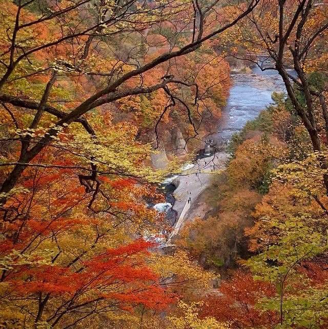 🌊 Fukiware Falls – One of Japan’s Top 100 Waterfalls 🌊