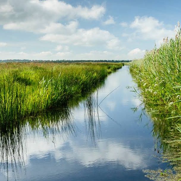 RSPB Portmore Lough Nature Reserve – Wetland Wonder by Lough Neagh