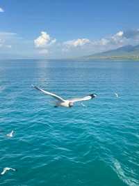 Into the Wild Blue: My Journey to Qinghai Lake
