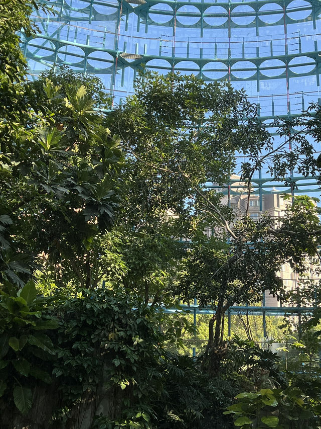 科博館植物園花影下的悠閒時光  