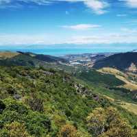 Kahurangi National Park – Epic Wilderness & Hidden Wonders of Te Wai Pounamu