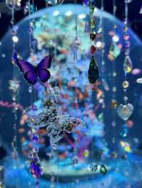 神戸 ❤︎ アクアリウムとアートが融合した新感覚体験🦋✨ 