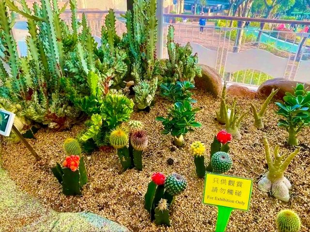 Green Escape in the City: Discovering Jordan Valley Park Green Escape in the City: Discovering Jordan Valley Park