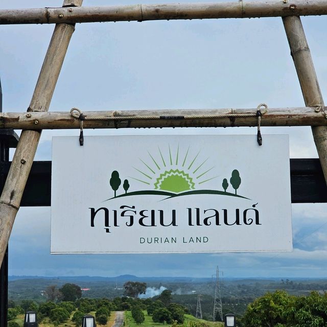 🌟Durian Land เที่ยวชมสวนทุเรียนที่จันทบุรี⭐️