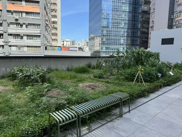 週末親子文創體驗玩轉室內外 😆 南豐紗廠👍🏻 週末親子文創體驗玩轉室內外 😆 南豐紗廠👍🏻
