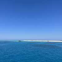 Michaelmas cay(ミコマスケイ)