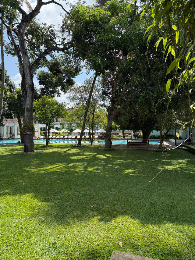 Epic Sri Lanka Weekend: Chill Vibes, Nature Perfection & Eats You’ll Love 😍🌴