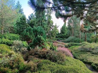 Dendrological Garden