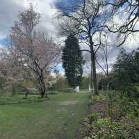 Arboretum Kalmthout