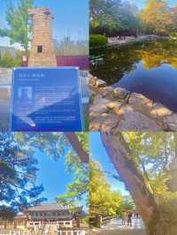 🏯 경주의 상징, 불국사와 첨성대 하루 여행 🌸